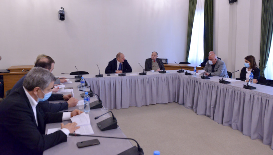 The sitting of the Diaspora and Caucasus Issues Committee