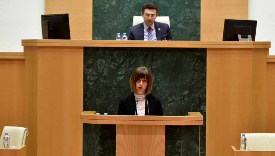 მინისტრის საათის ფორმატში პარლამენტმა ოკუპირებული ტერიტორიებიდან დევნილთა, შრომის, ჯანმრთელობისა და სოციალური დაცვის მინისტრს მოუსმინა
