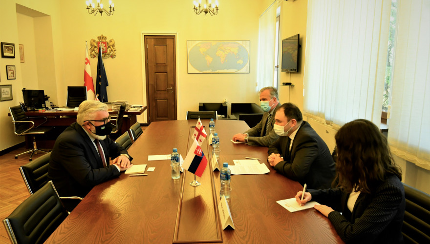 The meeting of Nikoloz Samkharadze with the Ambassador of Slovakia