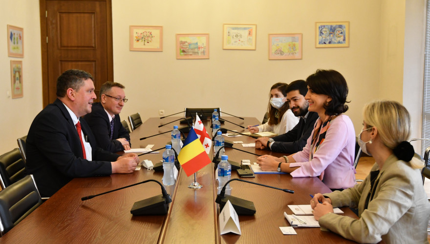 The meeting of Maka Bochorishvili with the Ambassador of Romania