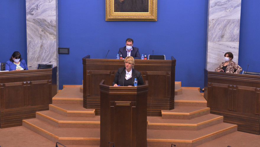 The sitting of the Sector Economy and Economic Policy Committee