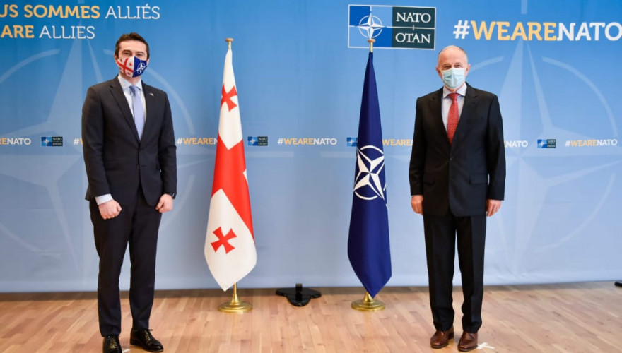The meeting of Kakha Kutchava with the NATO Deputy Secretary General
