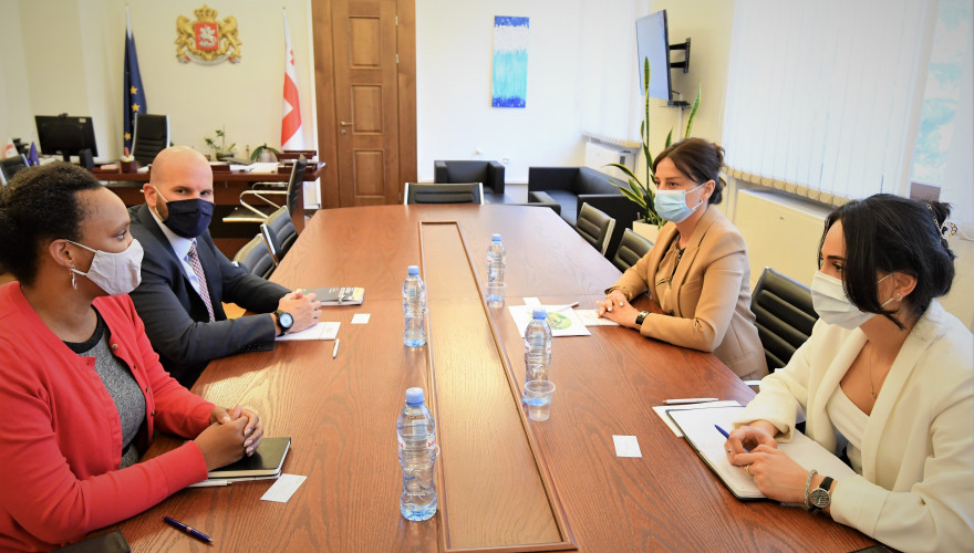 Meeting of Maia Bitadze with Representatives of US Embassy