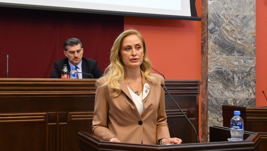 სპორტისა და ახალგაზრდულ საქმეთა კომიტეტში საქართველოს ფიგურული ციგურაობის ფედერაციის საქმიანობაზე იმსჯელეს