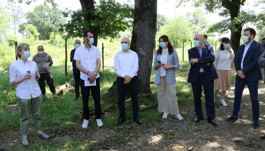 Maia Bitadze visited Mukhrovani historical forest