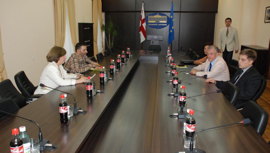 პარლამენტის თავმჯდომარის მოადგილე გიორგი წერეთელი ევროსაბჭოს გენერალურ მდივანს, ტერი დევისს შეხვდა