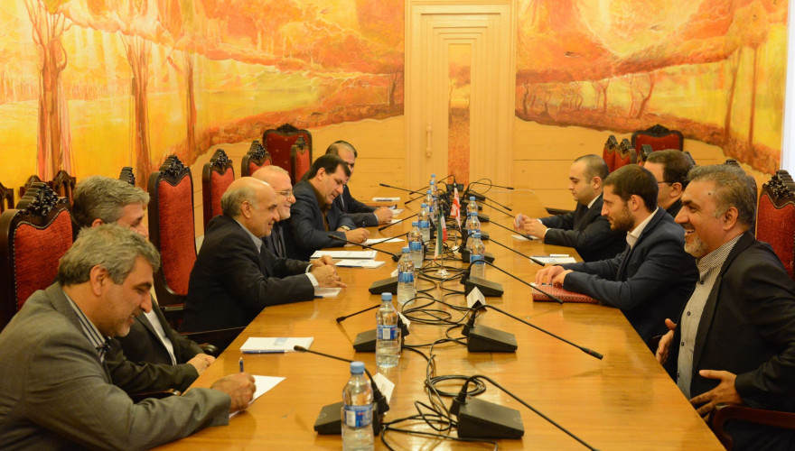 The meeting of Gubaz Sanikidze and Shalva Kiknavelidze with MPs of Iranian Parliament