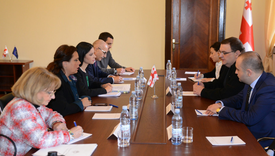 The meeting of Gubaz Sanikidze with the Chair of EU Integration Committee of Romanian Parliament, Ana Birchall