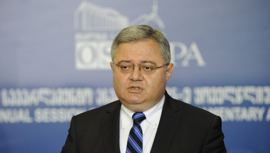 David Usupashvili: I voted for cooperation and security in Europe