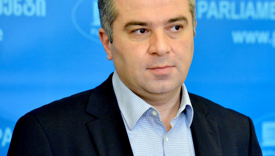 The briefing by the Minority Leader, Mr. David Bakradze
