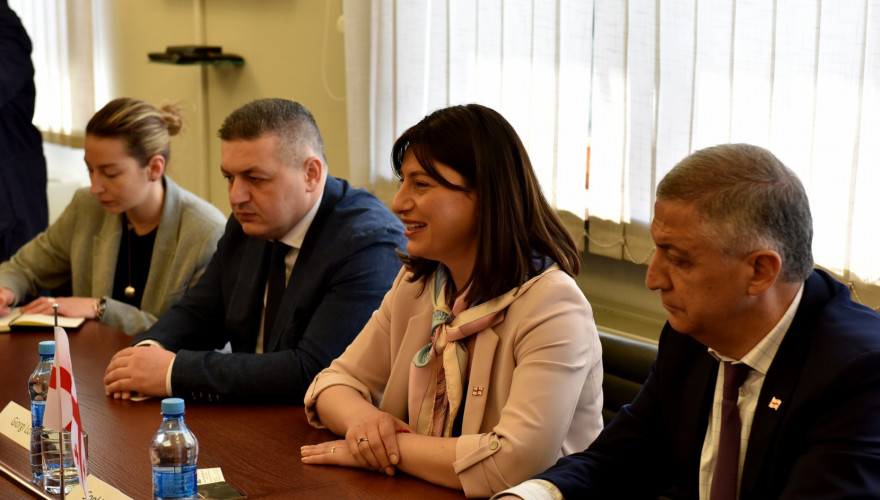  The meeting of the Chair of the Foreign Relations Committee, Sofio Katsarava with the Parliamentary Delegation of Bulgaria