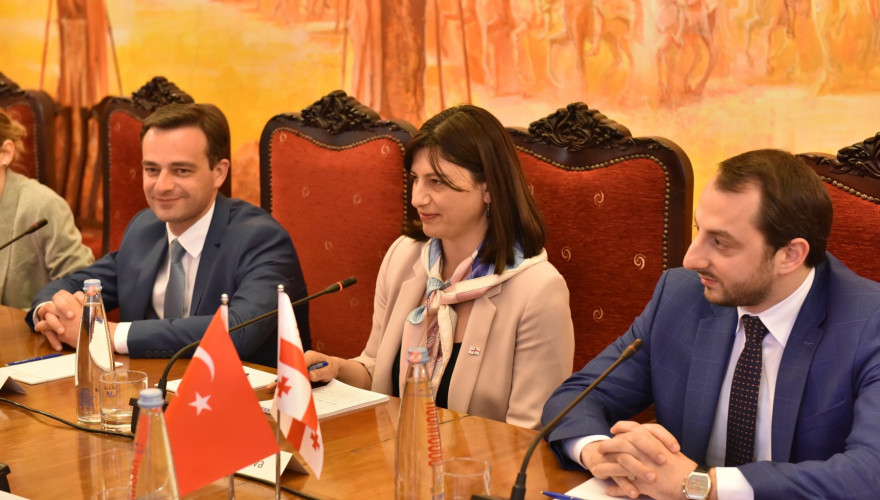 The meeting of Sofio Katsarava with Turkey-Georgia Friendship Group Delegation