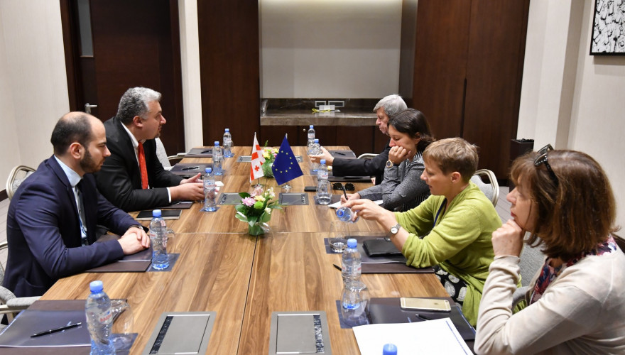 The meeting of Sergi Kapanadze with MEPs