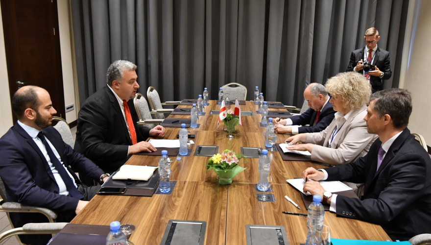 The meeting of Sergi Kapanadze and Giorgi Kandelaki with the Deputy Senate Marshal of Poland