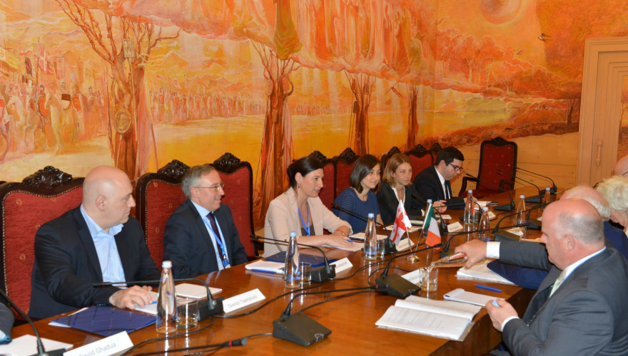 The meeting of Sofio Katsarava with the Members of the Joint Committee on Foreign Affairs, Trade and Defense of the Parliament of Ireland