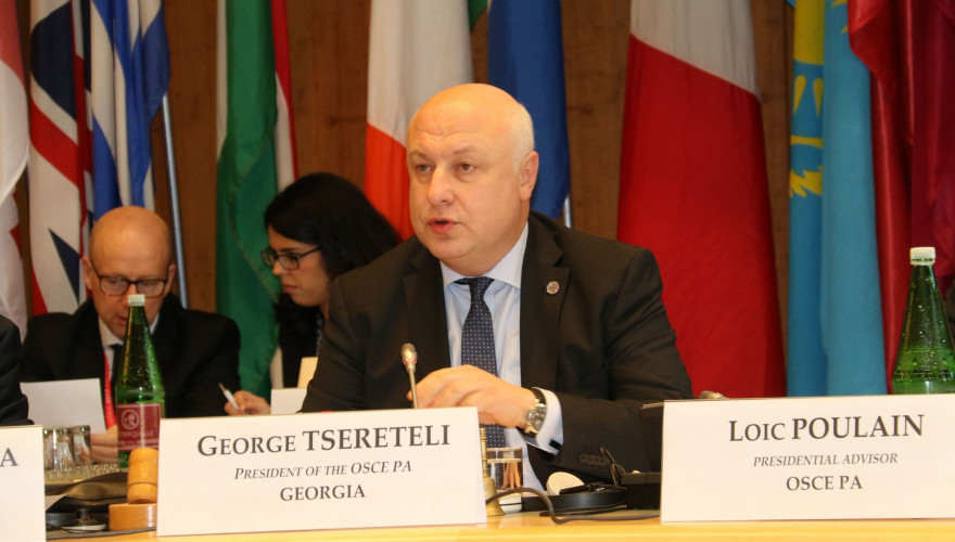გიორგი წერეთელი ეუთოს მინისტერიალზე სიტყვით გამოვიდა