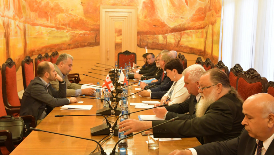 სერგი კაპანაძემ, ჩეხეთის დეპუტატებთან შეხვედრისას, საქართველოს წინაშე არსებულ გამოწვევებზე ისაუბრა