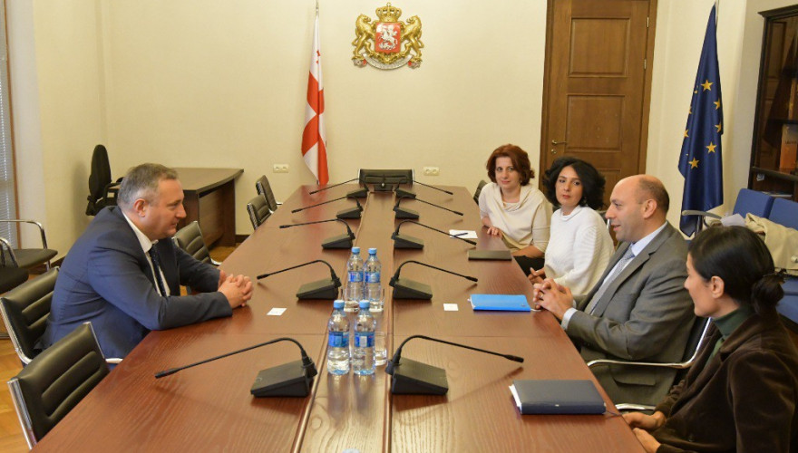 The meeting of Akaki Zoidze with the UNICEF representative