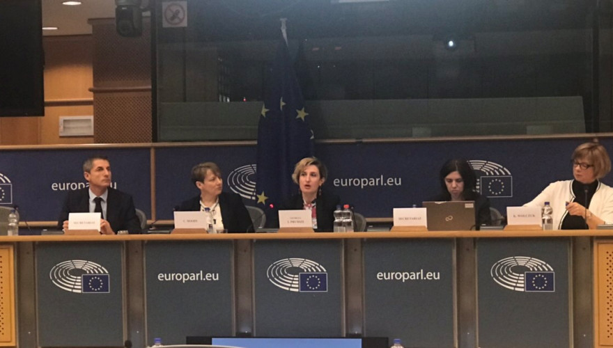 The working group on EuroNest PA Associate States chaired by Irina Pruidze held the sitting in European Parliament