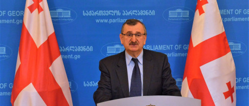 The briefing by the Chair of the Faction “National Movement”, Roman Gotsiridze