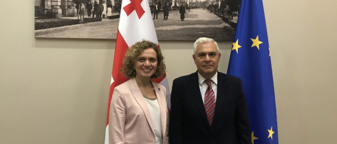 The meeting of Tamar Khulordava with the Chair of the Committee on European Affairs of Chamber of Deputies of Romanian Senate