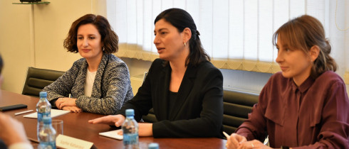 The meeting of Sophio Katsarava and Irina Pruidze with the Head of the Eastern Partnership Department of the Foreign Affairs Ministry of Austria, Katharina Weiser