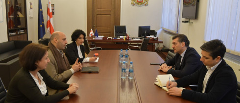 The meeting of Mikheil Kavelashvili with the UNICEF Representative