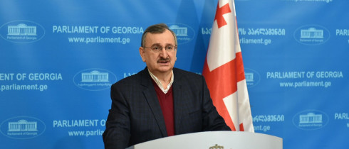 The briefing by the Chair of the Faction “National Movement”, Roman Gotsiridze