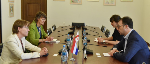 The meeting of David Songulashvili with the Ambassador of the Netherlands