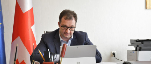 The video meeting of David Songulashvili with Mairead McGuinness