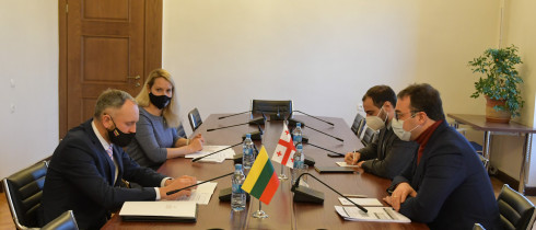 The meeting of David Songulashvili with the Ambassador of Lithuania