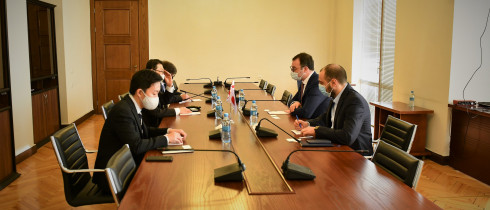 The meeting of David Songulashvili with Akira Imamura