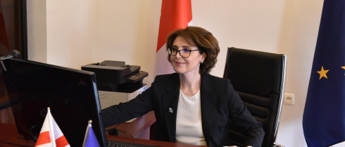 ელისო ბოლქვაძე სტუდენტური პარლამენტის წევრებს შეხვდა