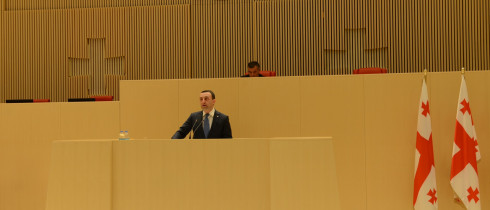The minority heard the Prime Minister, Irakli Garibashvili