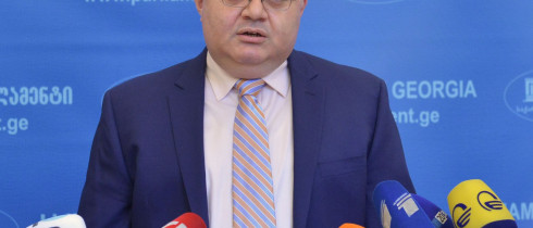 David Usupashvili nominating the candidate to the vacant position of the Member of the Constitutional Court