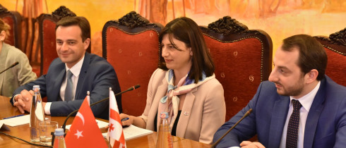 The meeting of Sofio Katsarava with Turkey-Georgia Friendship Group Delegation