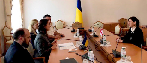 The meeting of Sofio Katsarava with her Ukrainian counterpart