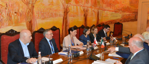 The meeting of Sofio Katsarava with the Members of the Joint Committee on Foreign Affairs, Trade and Defense of the Parliament of Ireland