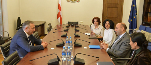 The meeting of Akaki Zoidze with the UNICEF representative